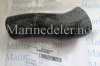 (bilde for) Sjøvansslange 3888924
