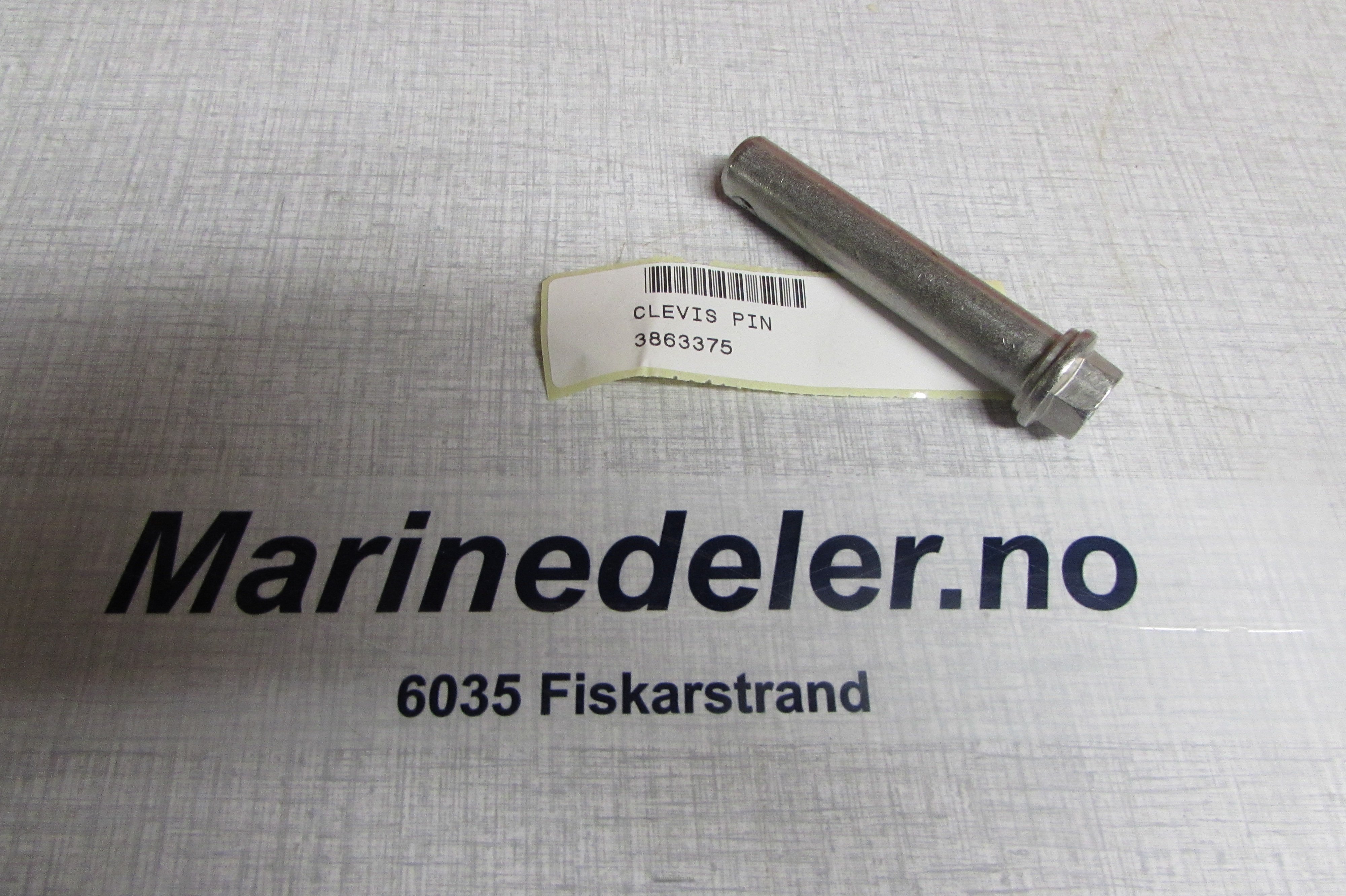 (bilde for) SAXPINNEBULT 3863375