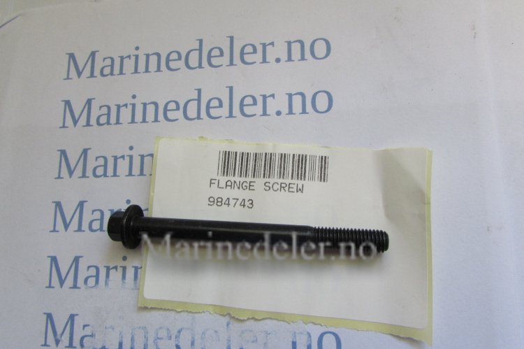 (bilde for) z FLÄNSSKRUV 984743