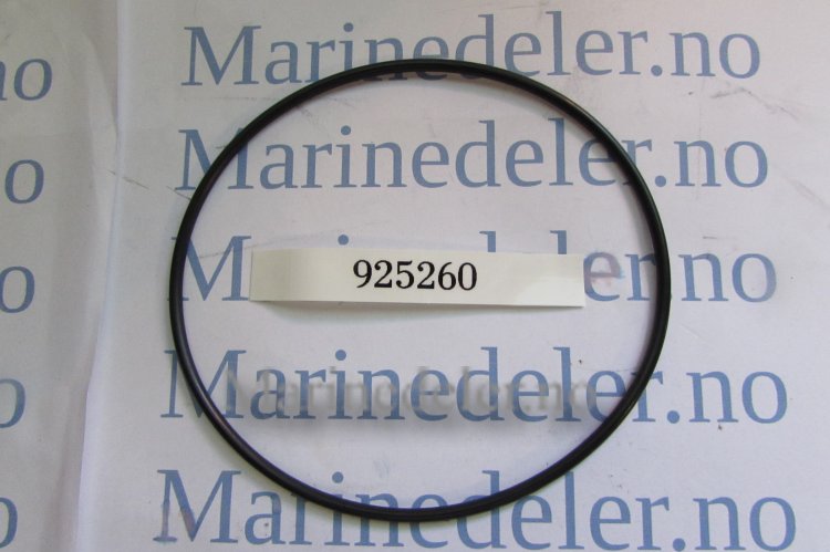 (bilde for) O-RING 925260