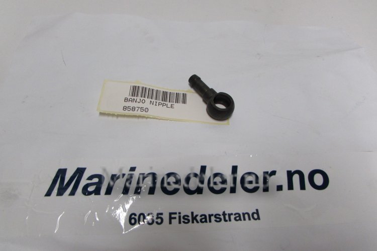 (bilde for) BANJONIPPEL 858750