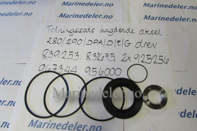 (bilde for) Tetningssats inngående aksel 280/290/DPA/D/E/G drev 839253, 832675, 2x925256, 967344, 956000