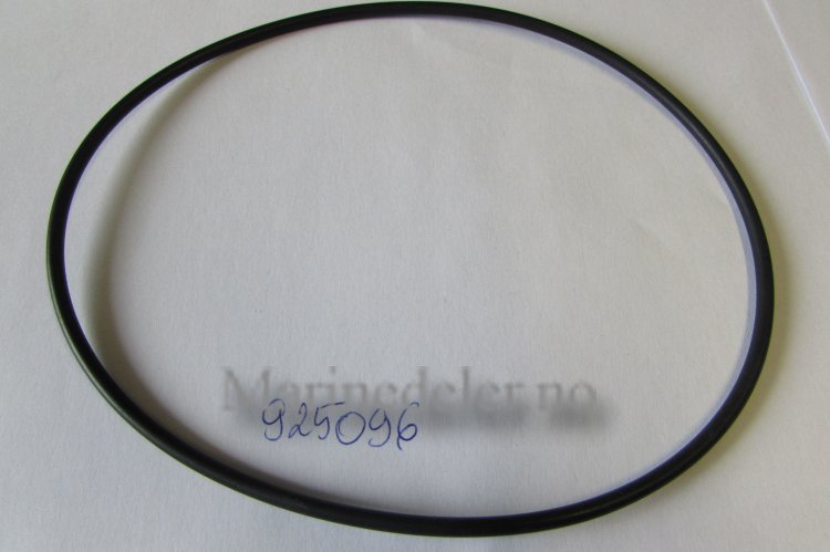 (bilde for) O-RING 925096