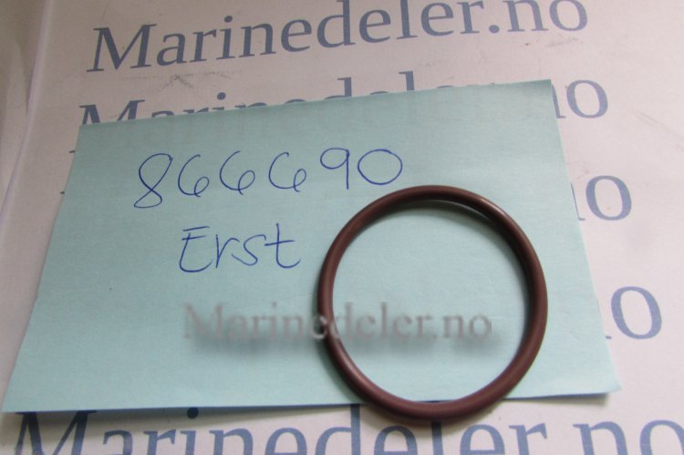 (bilde for) O-RING 866690 (ettermarkedsdel)