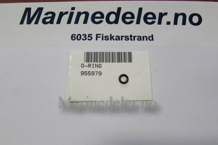 (bilde for) O-RING 955979