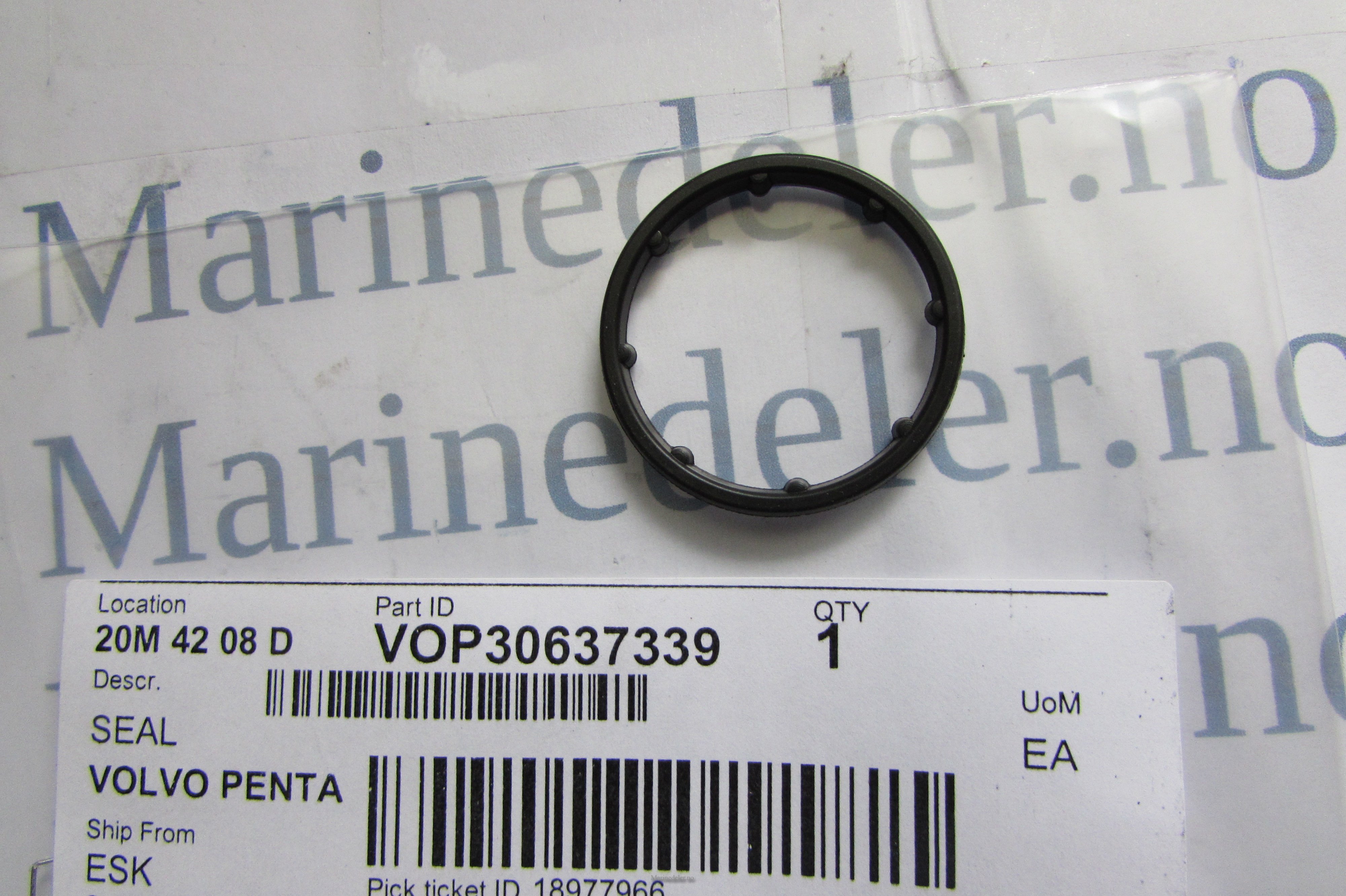 (bilde for) z TETNING 30637339