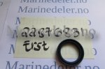 (bilde for) TÄTNINGSRING erst 22876831