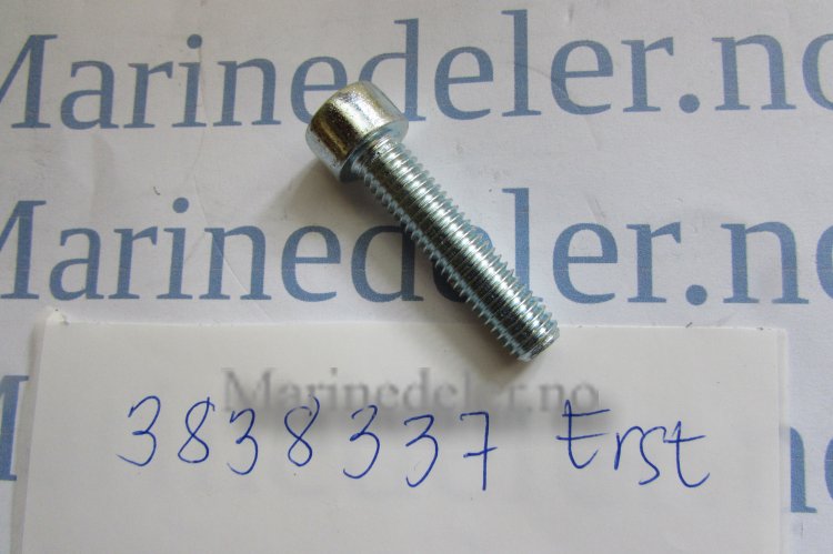 (bilde for) SKRUV 3838337 (ettermarkedsdel)