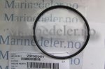 (bilde for) O-RING 3852470