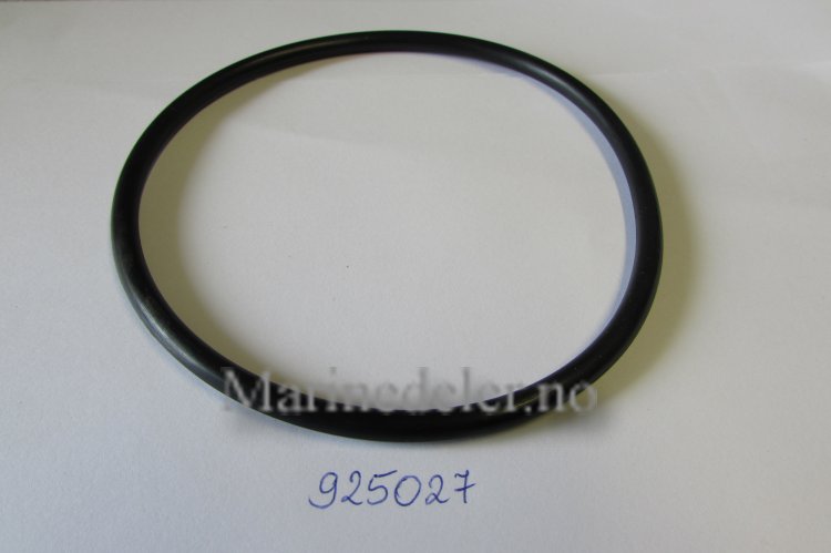 (bilde for) o ring 925027 varmeveksler endelokk (ettermarkedsdel)