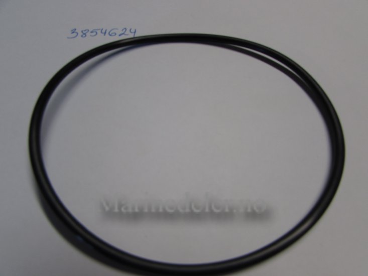 (bilde for) O-RING 3854624