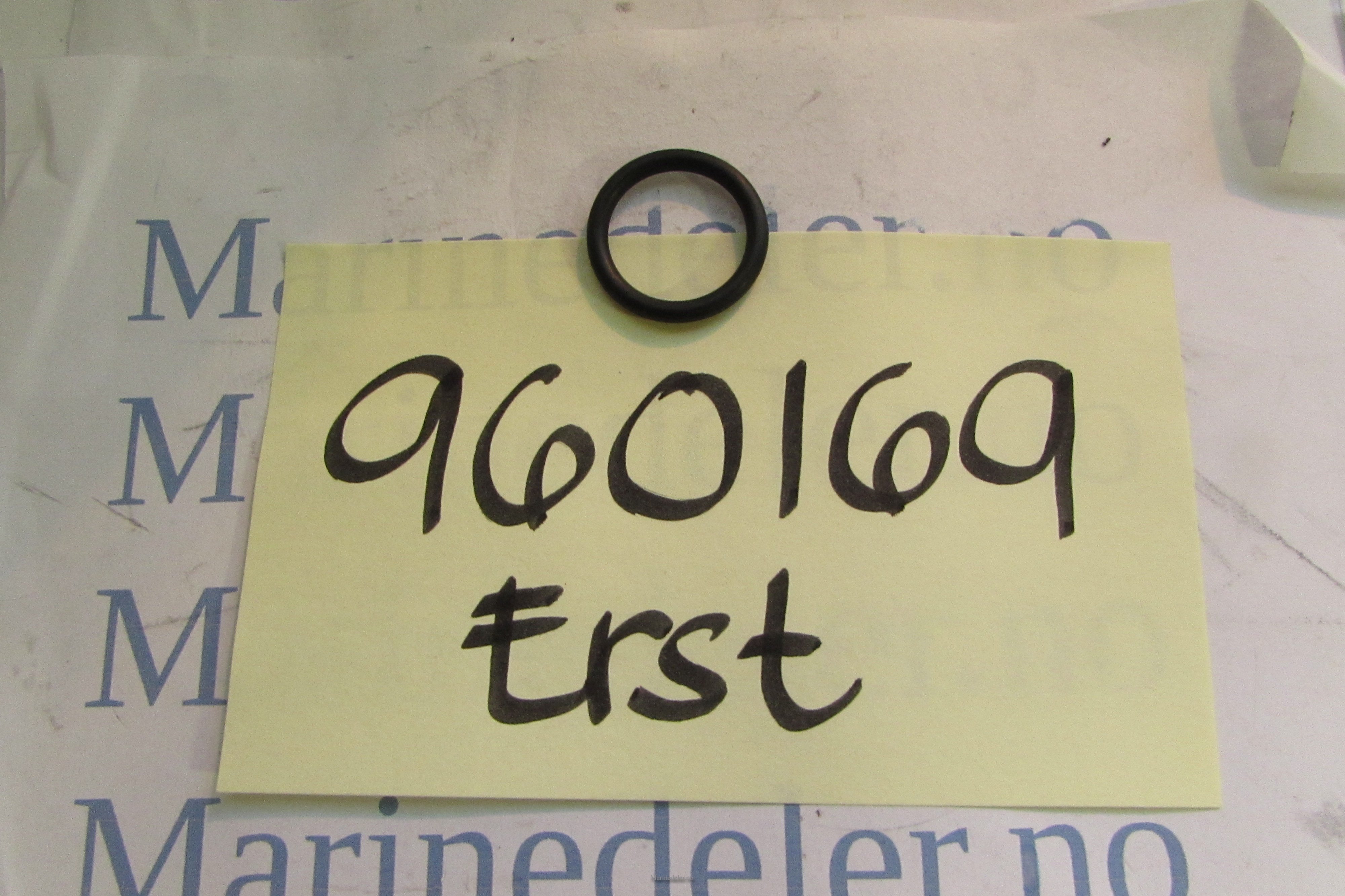 (bilde for) o ring erst 960169