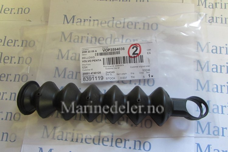 (bilde for) BELG 3594036