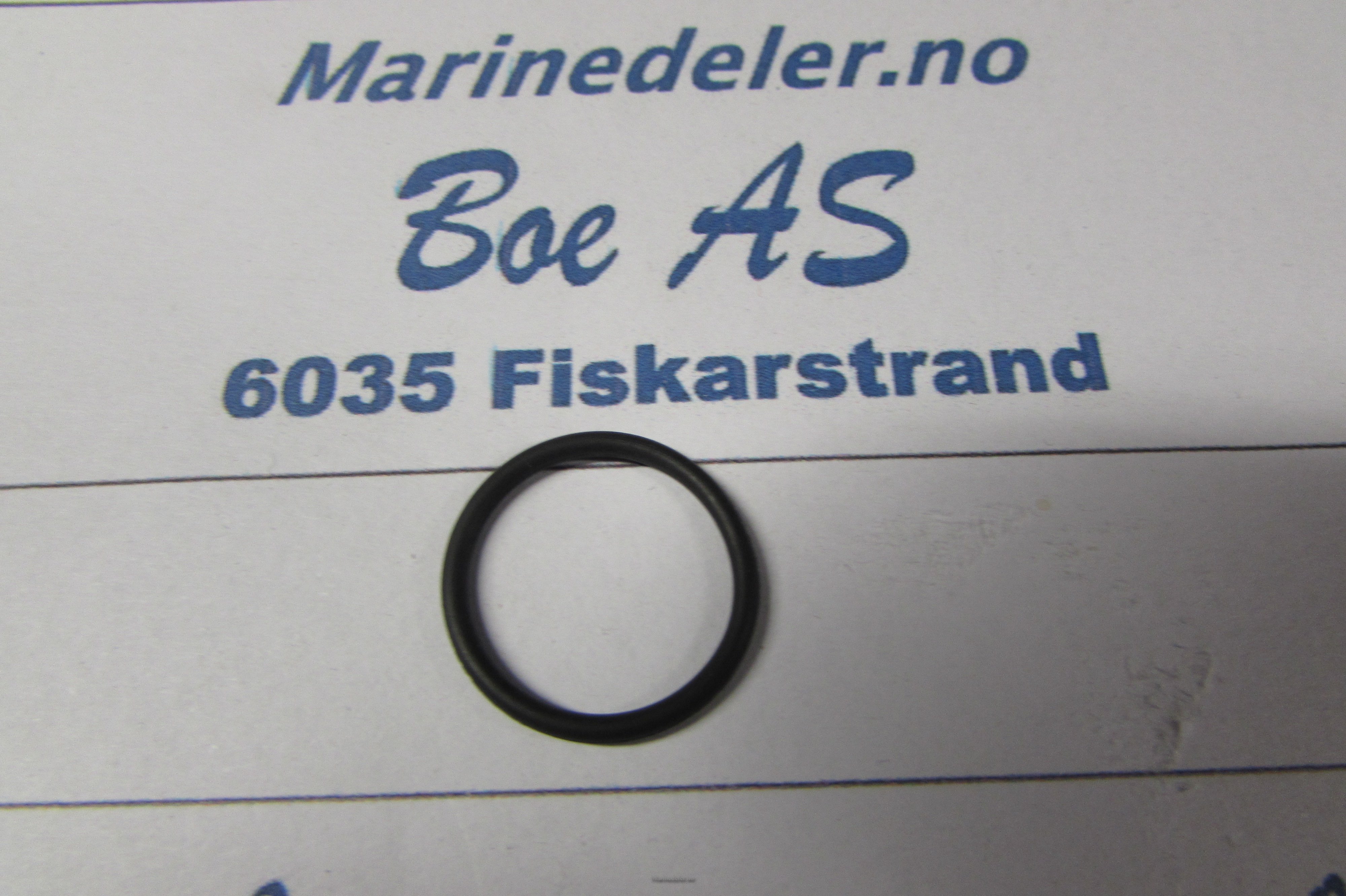 (bilde for) O-RING 838821