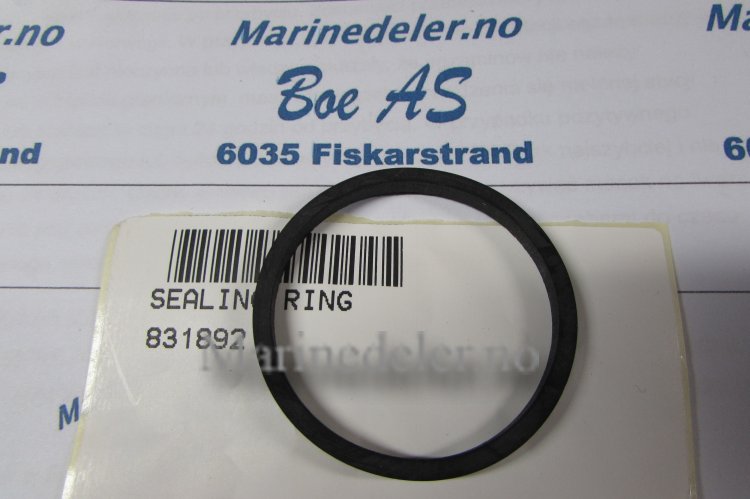 (bilde for) TÄTNINGSRING 831892