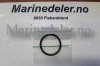 (bilde for) o ring erst 968927