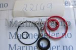 (bilde for) Pakningssett trimsylinder for Volvo DPH A,B,C,D drev drev 22169