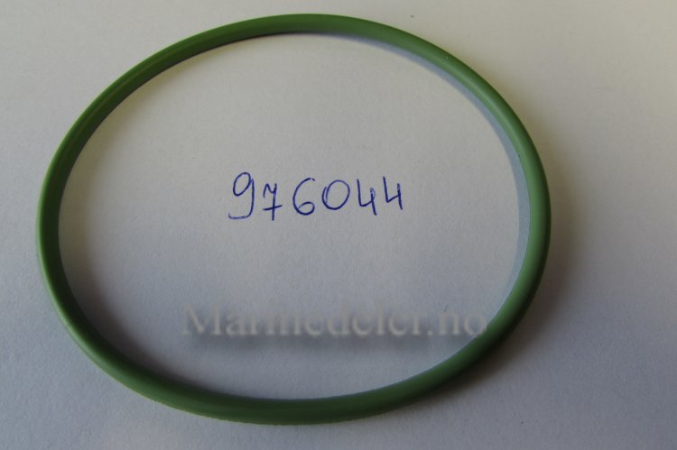 (bilde for) O-RING 976044