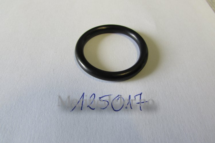 (bilde for) O-RING125017 (ettermarkedsdel)