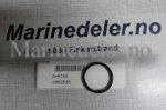(bilde for) O-RING 3852535