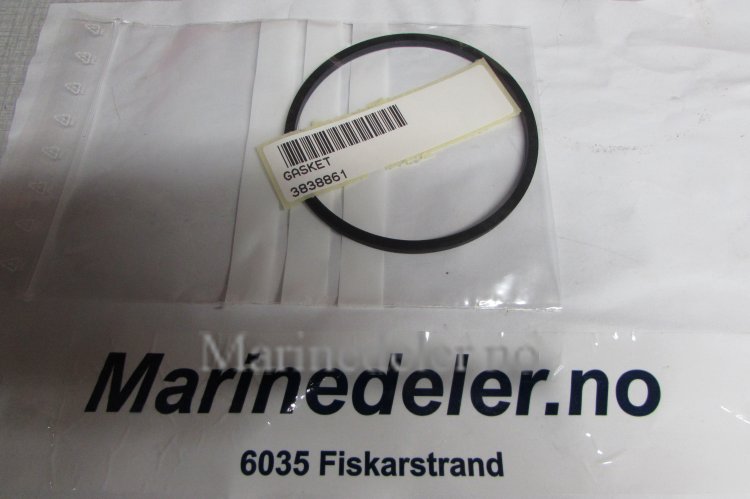 (bilde for) PACKNING 3838861