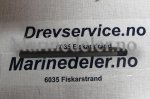 (bilde for) PINNSKRUV 953005