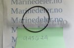 (bilde for) O-RING 945624