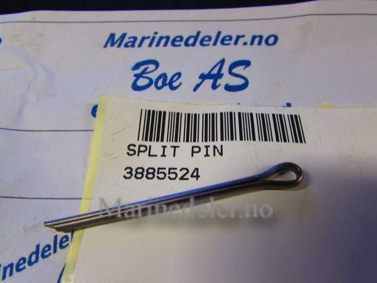 (bilde for) SAXPINNE 3885524