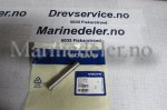 (bilde for) SAXPINNEBULT 872491