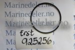 (bilde for) O-RING 925256 (ettermarkedsdel)