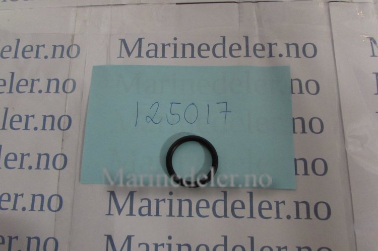 (bilde for) O-RING 125017