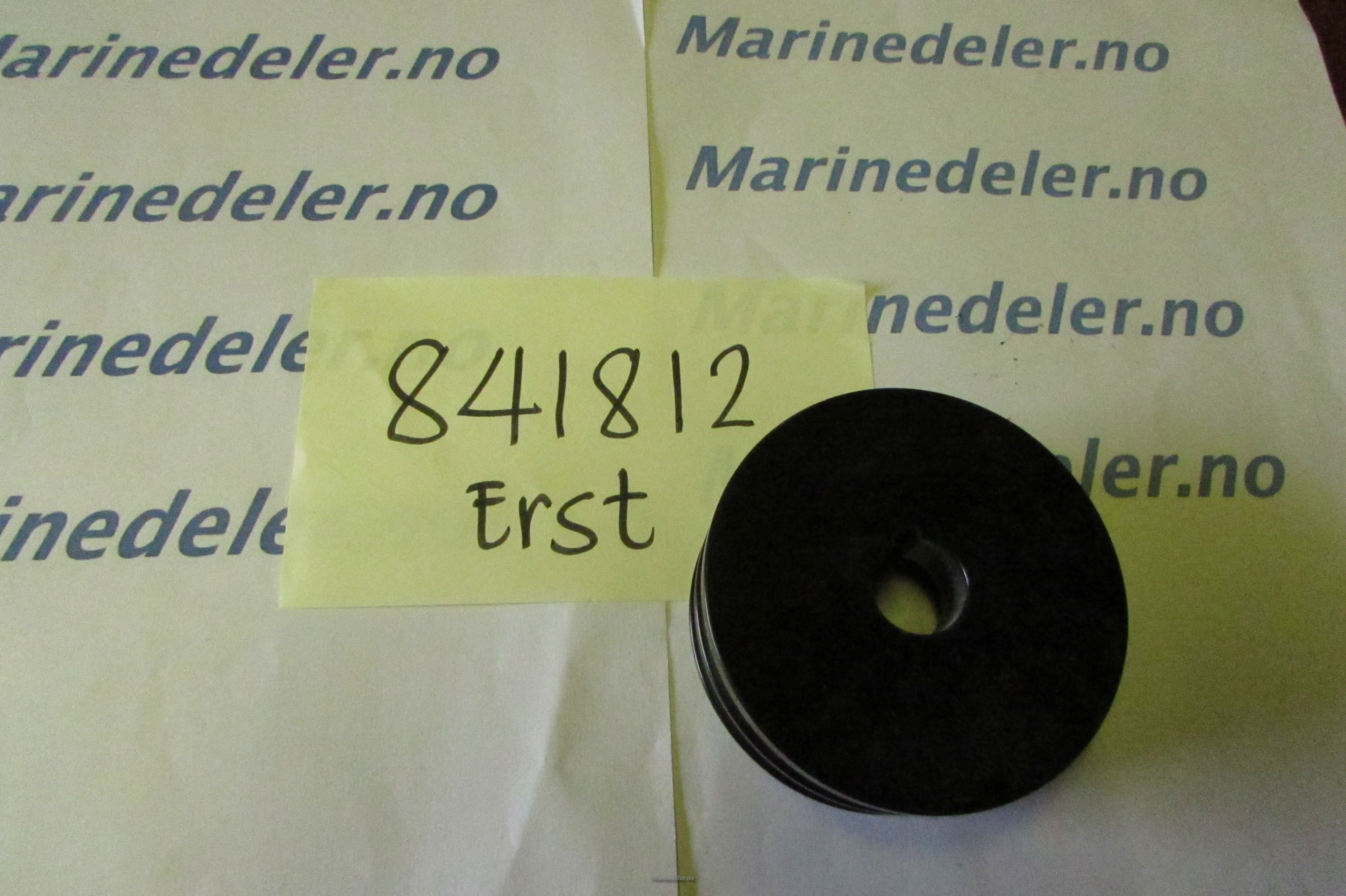 (bilde for) REMSKIVA erst 841812