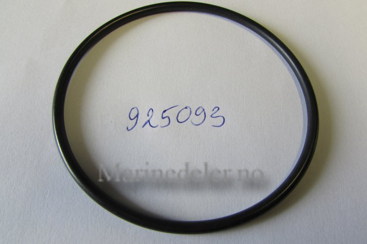 (bilde for) O-RING 925093