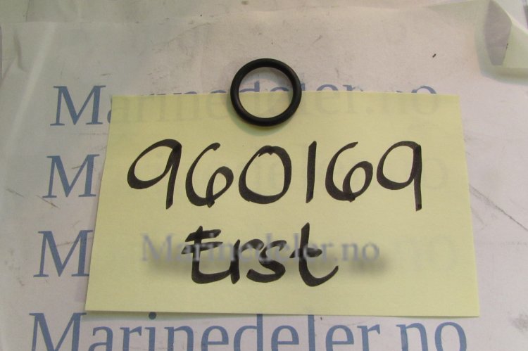 (bilde for) o ring960169 (ettermarkedsdel)
