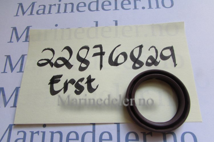 (bilde for) TÄTNINGSRING 22876829 (ettermarkedsdel)