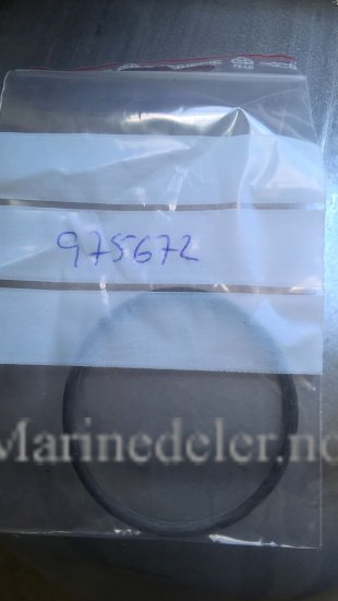 (bilde for) O-RING 975672