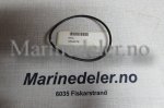 (bilde for) TÄTNING 3858078