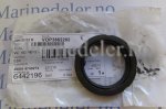 (bilde for) z TÄTNING 3862262