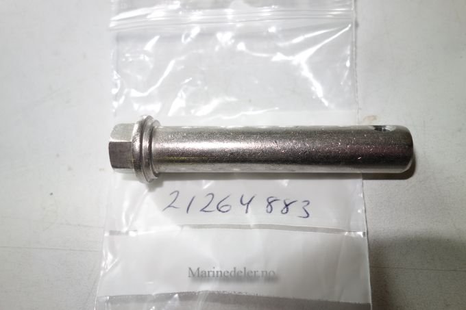 (bilde for) SAXPINNEBULT 21264883