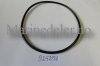 (bilde for) O-RING925258 (ettermarkedsdel)