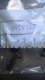 (bilde for) SKRUV 955525