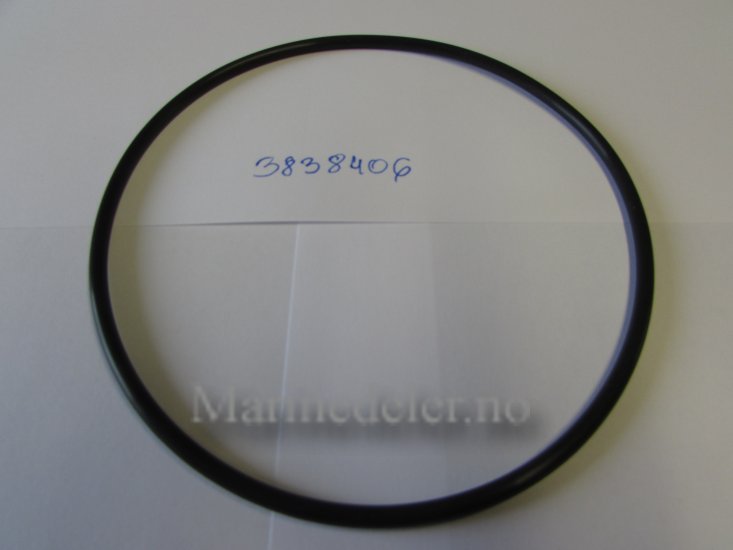 (bilde for) O-RING 3838406