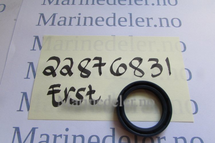 (bilde for) TÄTNINGSRING22876831 (ettermarkedsdel)