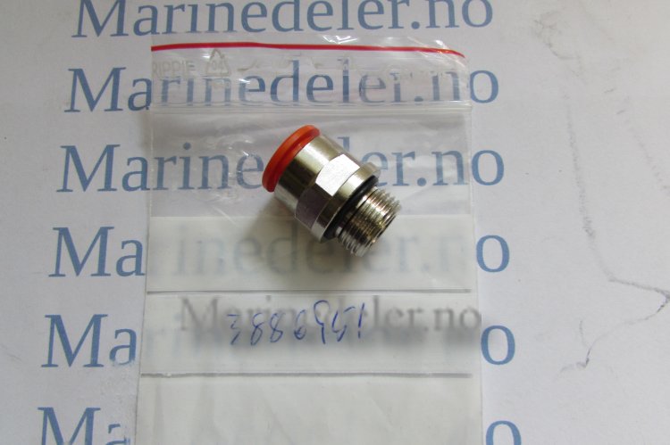 (bilde for) z NIPPEL 3886951