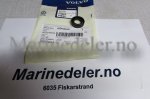 (bilde for) TÄTNING 809441
