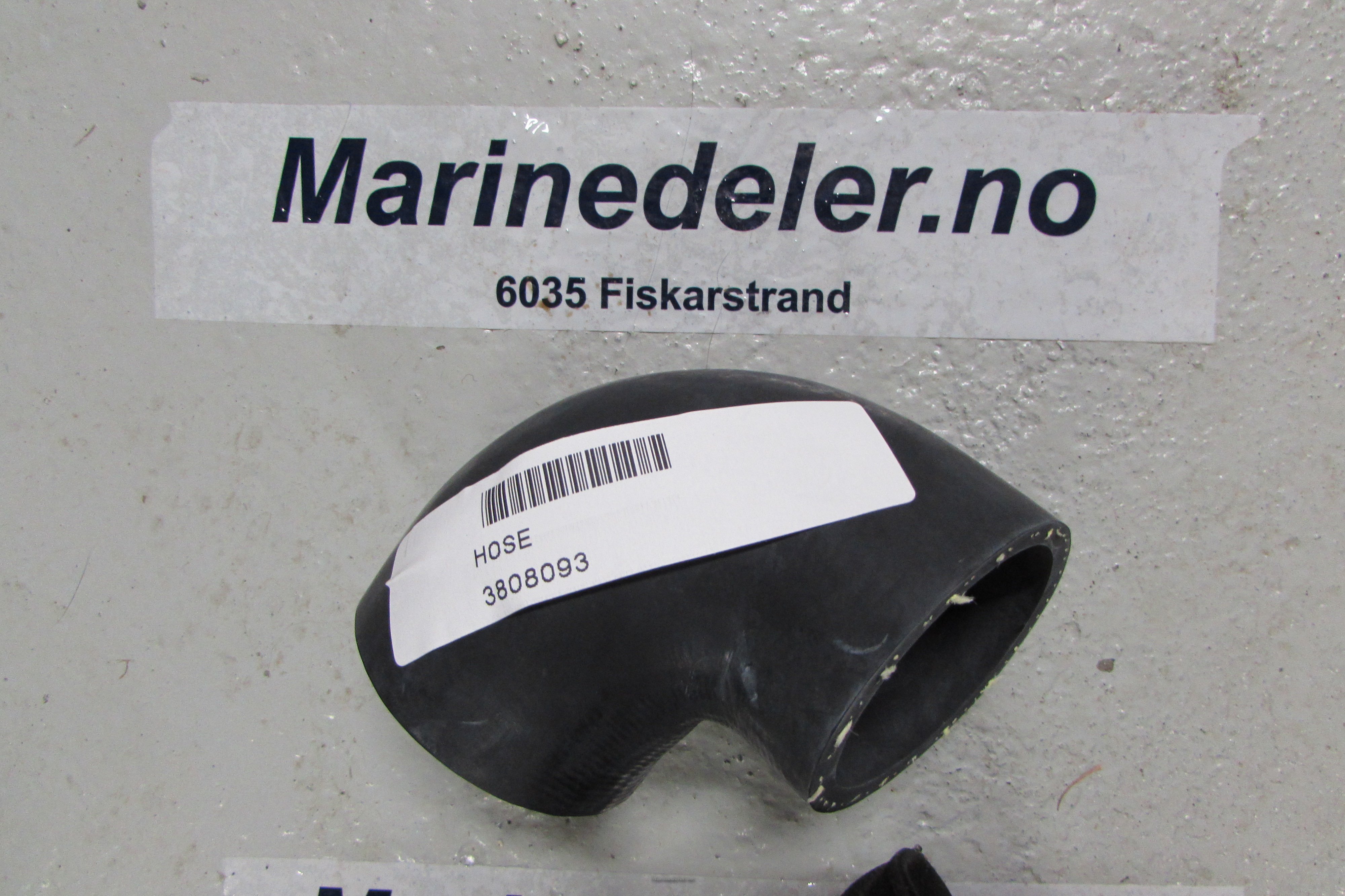 (bilde for) Slange 3808093