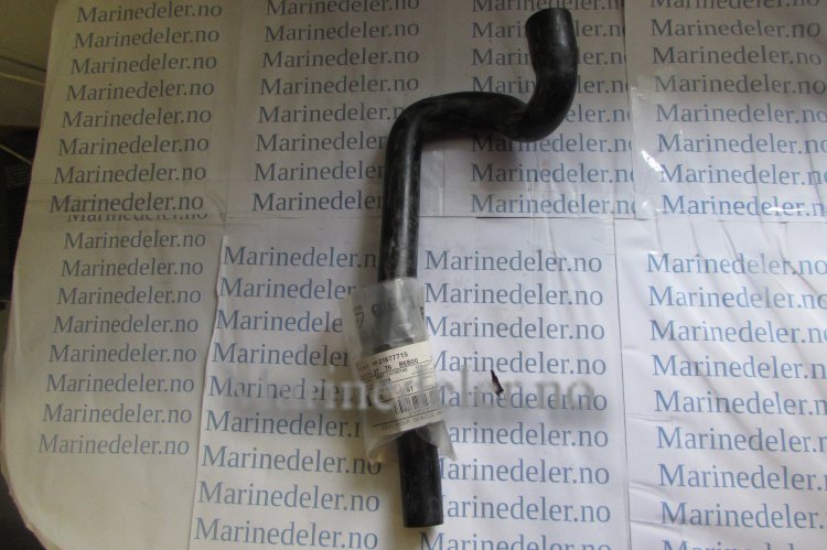 (bilde for) SLANG 21677715