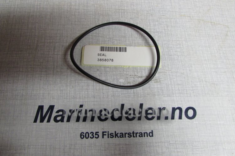 (bilde for) TÄTNING 3858078