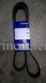 (bilde for) KUGGREM 859773