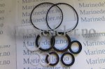 (bilde for) Tetningsats, propellaksel dph D -D1- E23553896 (ettermarkedsdel)